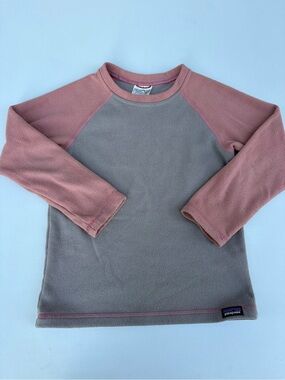 Patagonia Micro Fleece Crewneck